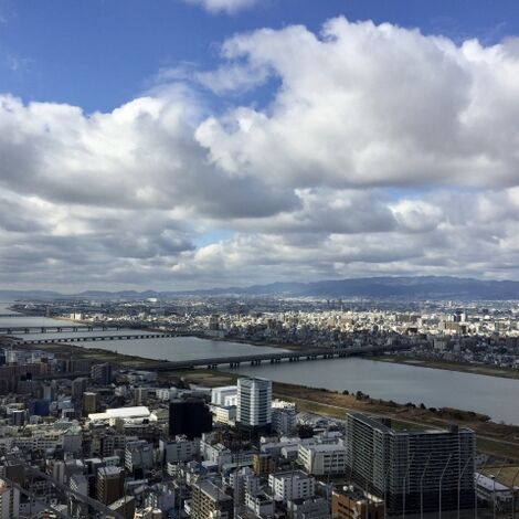 淀川