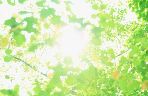 加古川市で運転代行なら神戸 明石運転代行におまかせください。